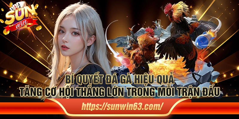 Bí quyết đá gà hiệu quả – Tăng cơ hội thắng lớn trong mỗi trận đấu